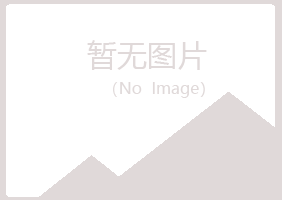 兴山县忆伤造纸有限公司